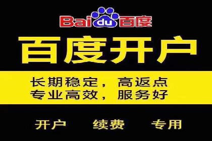 探索SEM推广代运营的奥秘：成功背后的故事